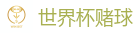 世界杯赌球_2026世界杯 (FIFA WorldCUP)中国下注指定网站